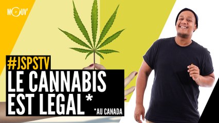 Je sais pas si t'as vu... Le cannabis est légal* !