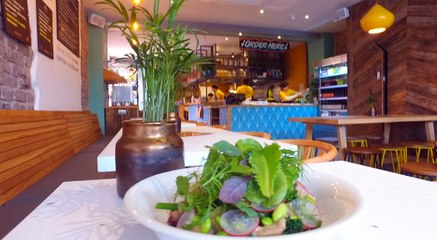 The Plant-Based, Healthy Conscious Suncraft!