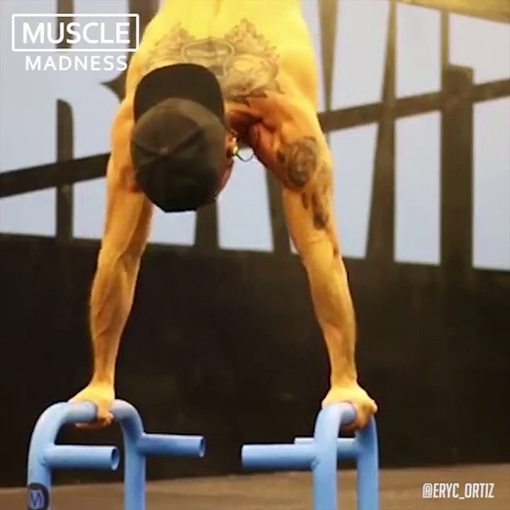 King of the bars