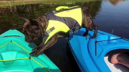 Top 50 Funniest AFV Moments _ Funny Videos Compilation