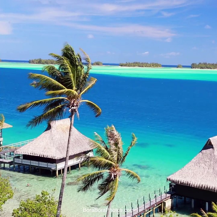 Dreaming of Bora Bora... Who would you take to paradise? browse partner deals: