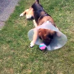 Today is not Monday. Today is not Monday.