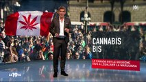 Le Canada est le deuxième pays à légaliser la marijuana