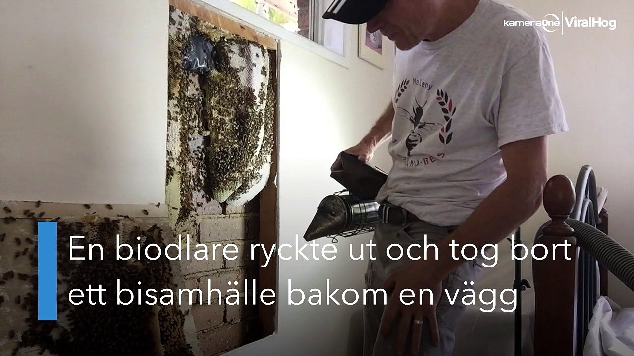 Bin i sovrummet!