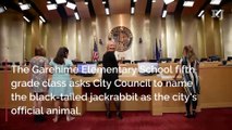 Garehime Elementary School fifth grade class asks City Council to name the black-tailed jackrabbit as the city's official animal