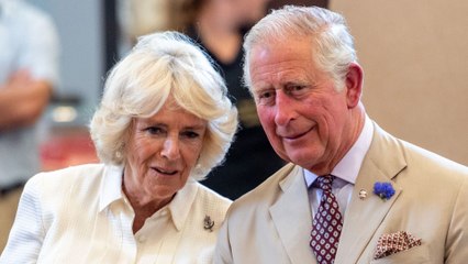 Why Camilla Was at Charles & Diana's Wedding