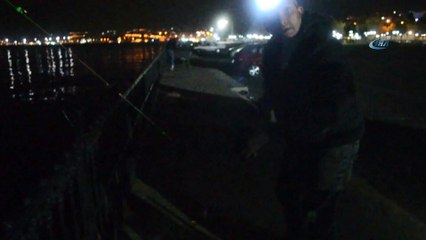 Boğazında iğne kalan yengeç çılgına döndü