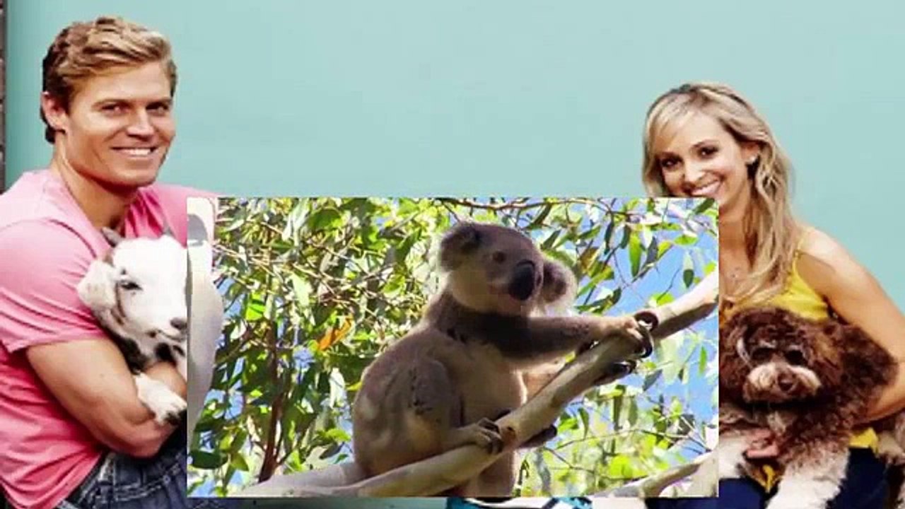 Bondi Vet S06 E11