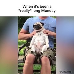 When it's been a *really* long Monday