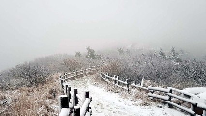 한 자리에서 두 계절 만끽...설악산 첫눈 / YTN