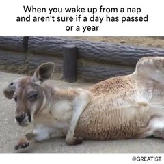 When you wake up from a nap and aren't sure if a day has passed or a year