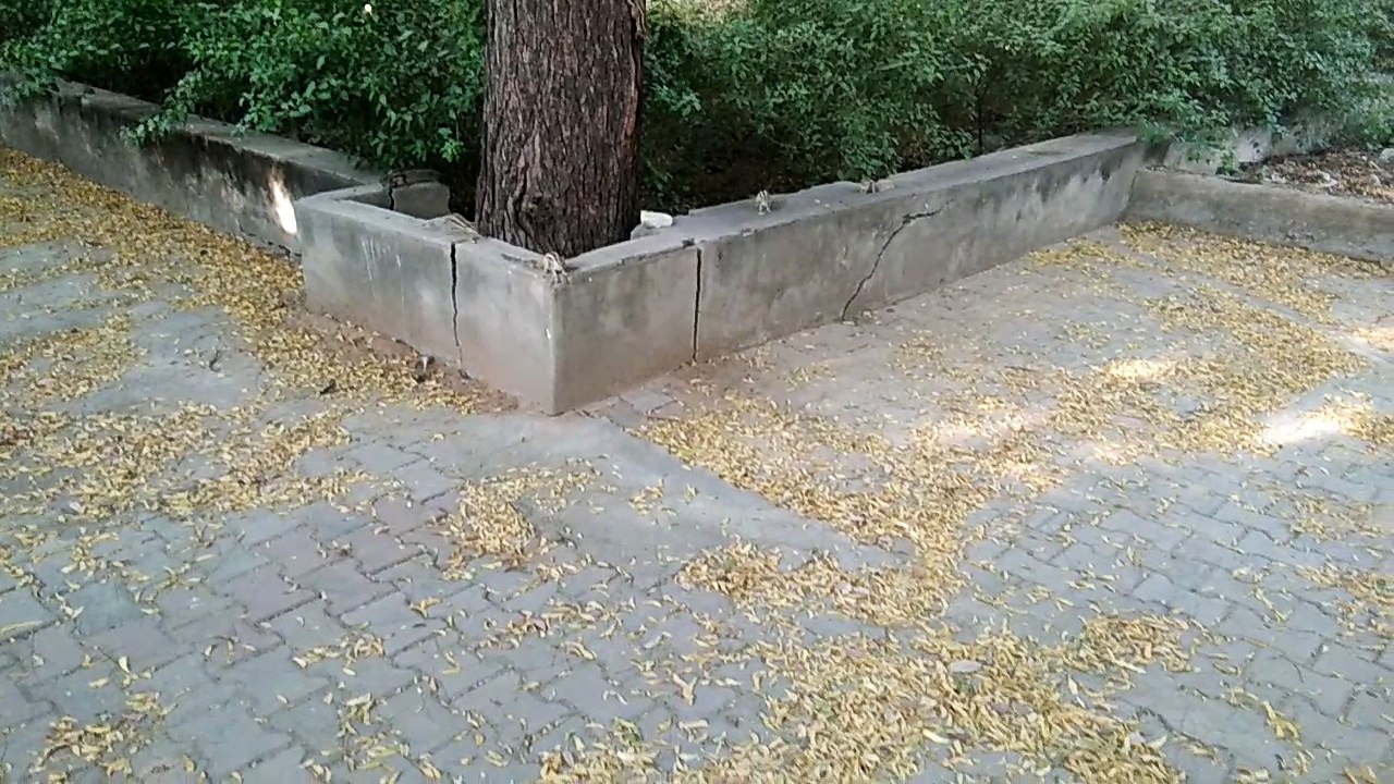 Friendly squirrels!