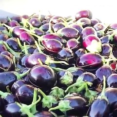 Delicious eggplant curry raises a smile on those sweet kids!Credit: goo.gl/AYpwgX