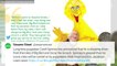 Big Bird Puppeteer Caroll Spinney Stepping Down After 50 Years