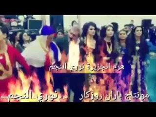 افراح تركية حسن العلو ونوري النجم