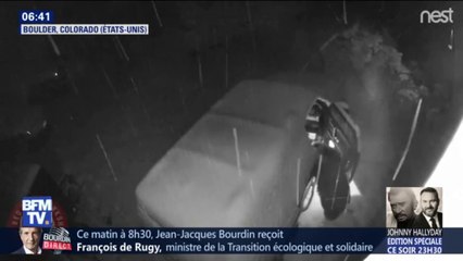 Dans le Colorado, un ours affamé ouvre une voiture pour trouver à manger