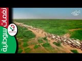 السودان كما لم تره من قبل#أرض_السمر سوداني جوه وجداني || أغنية سودانية جديدة NEW 2017 ||