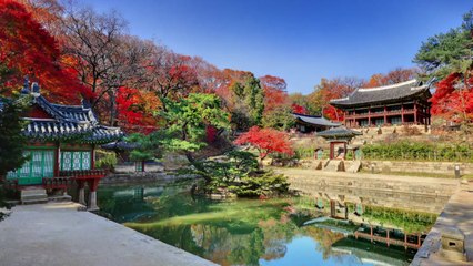 "궁궐로 단풍 구경 오세요" 4대궁·종묘 10월 말 절정 / YTN