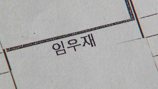 [단독] 대검 진상조사단, 장자연-임우재 통화 의혹 본격 조사 / YTN