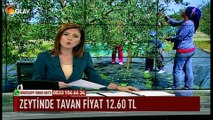 Zeytinde tavan fiyat 12.60 tl
