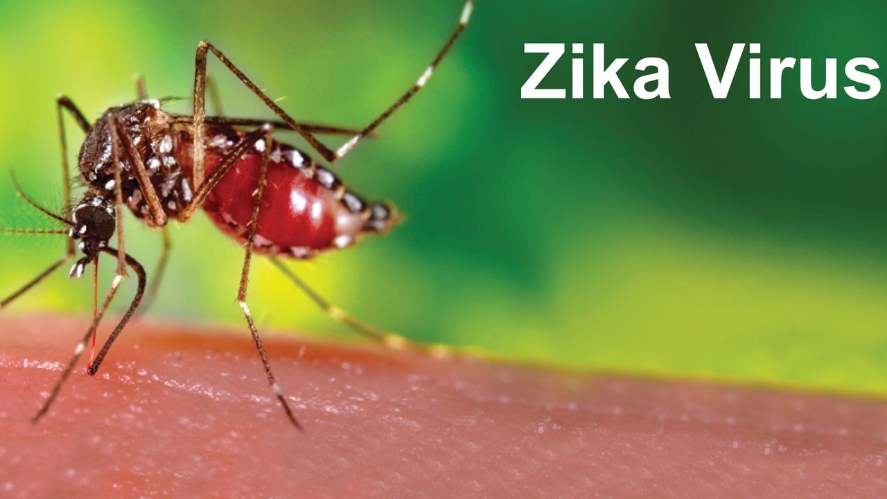 Zika virus: రాజస్థాన్‌ను వణికిస్తున్న జికా వైరస్... !