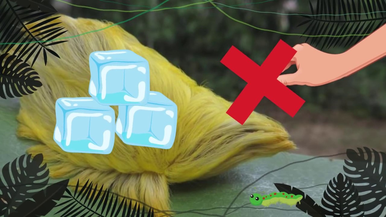 12 Life Hacks That Can Help You Survive