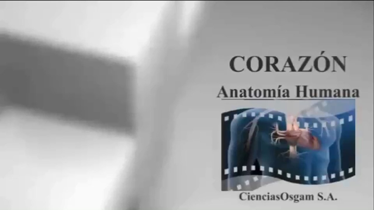 EL CORAZÓN - ANATOMÍA HUMANA :  DOCUMENTAL COMPLETO