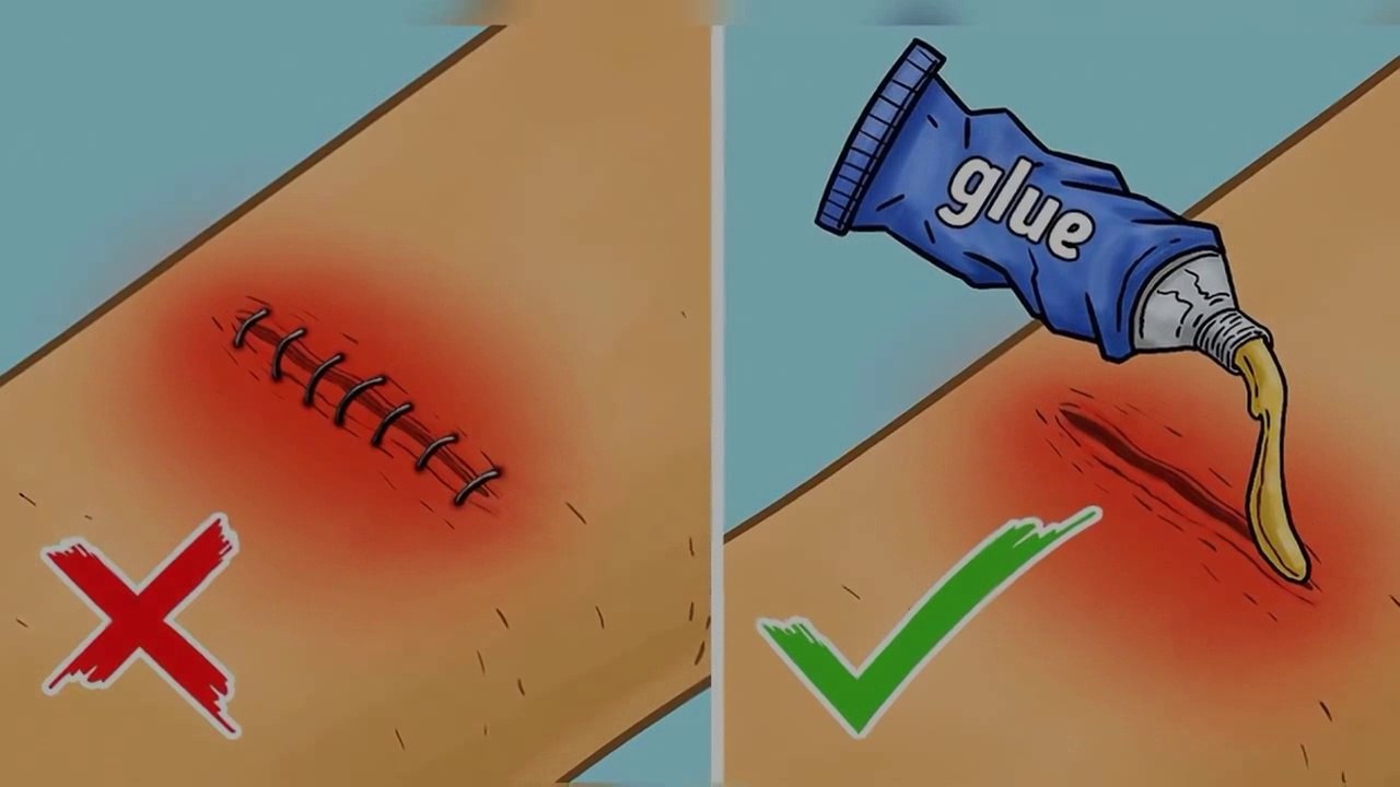12 Life Hacks That Can Help You Survive