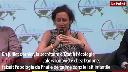 Emmanuelle Wargon : "L'huile de palme, on en a besoin pour les laits infantiles"