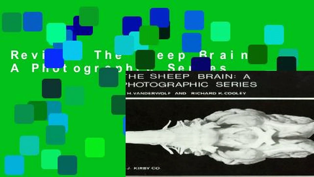 Review  The Sheep Brain: A Photographic Series