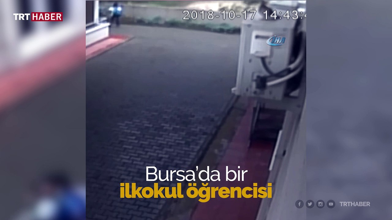 12 yaşındaki çocuk okul yolunda köpeklerin saldırısına uğradı