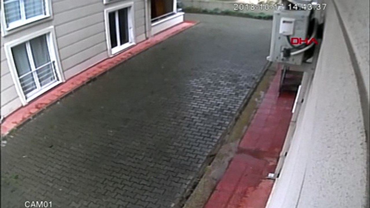 Okuldan dönen ilkokul öğrencisi köpeklerin saldırısına uğradı