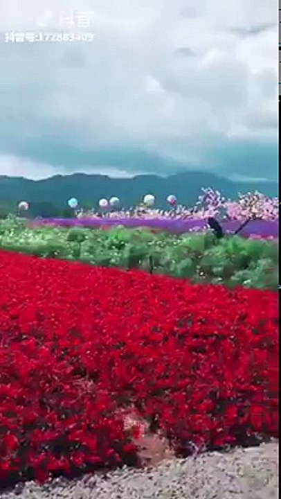 The life only wish once go to this place!