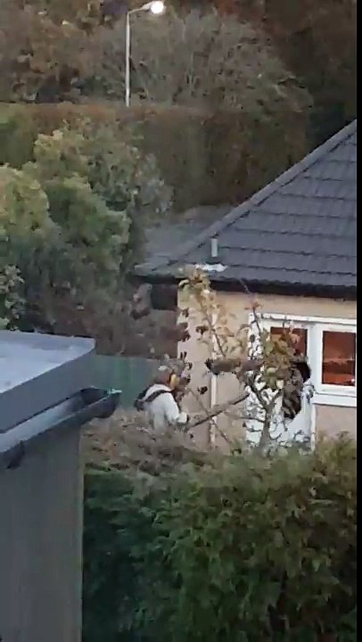 Guy drying his clothes with a leaf blower