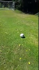 kicks the ball over the goal and smashes a window