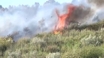 Lushnje, zjarre edhe në tetor - Top Channel Albania - News - Lajme