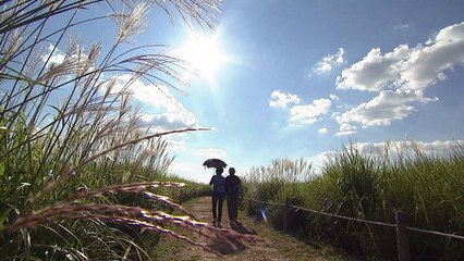 [날씨] 이른 첫눈과 가을호우 부른 동풍...미세먼지는 밀어내 / YTN