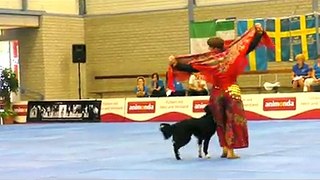 Dogs can perform in a free style at 