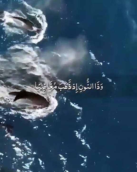 ..صباحكم قرآن..