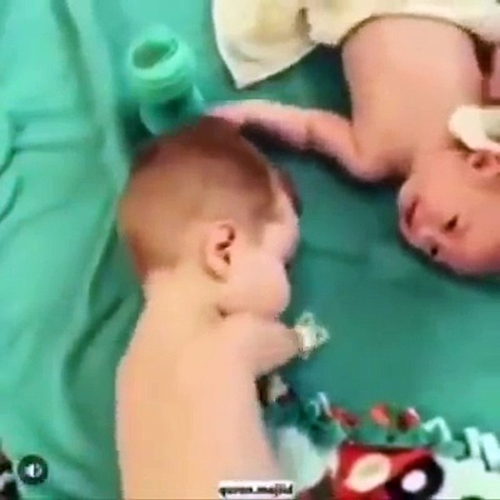 La plus belle vidéo au monde 