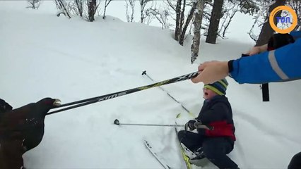 Un jeune skieur se fait attaquer par une grouse !