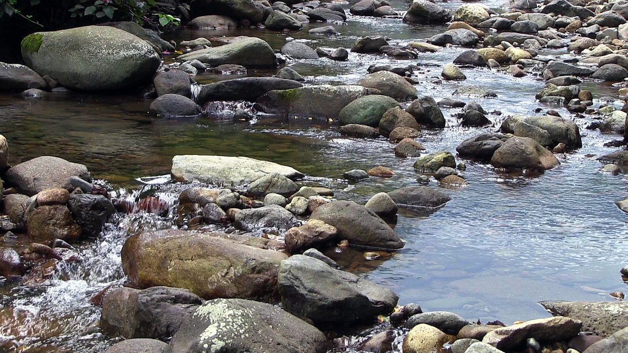 Mountain creek