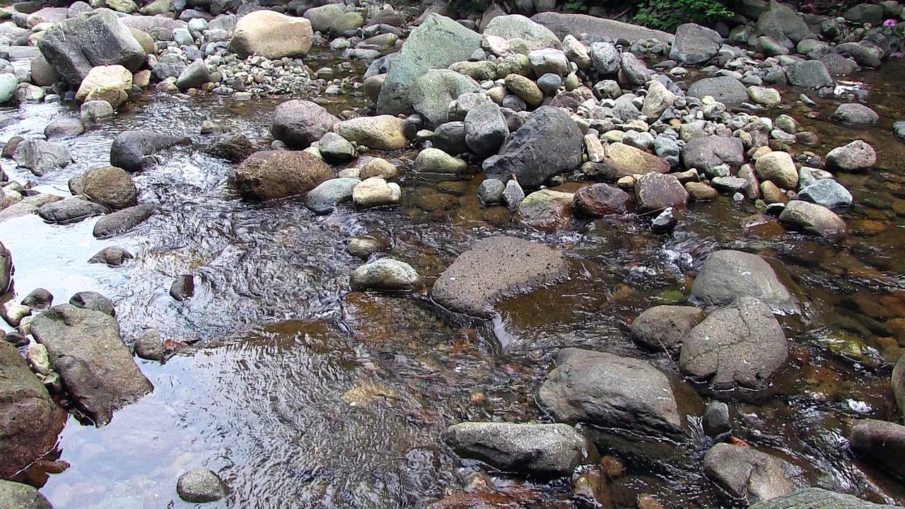 Mountain creek