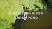 Fishing the Louisiana Marsh -- An Osprey’s-Eve View