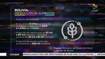 Bolivia produce el 95% de los alimentos que consume