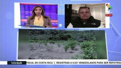 Cañizares: Gob. usará la fuerza para erradicar cultivos ilícitos