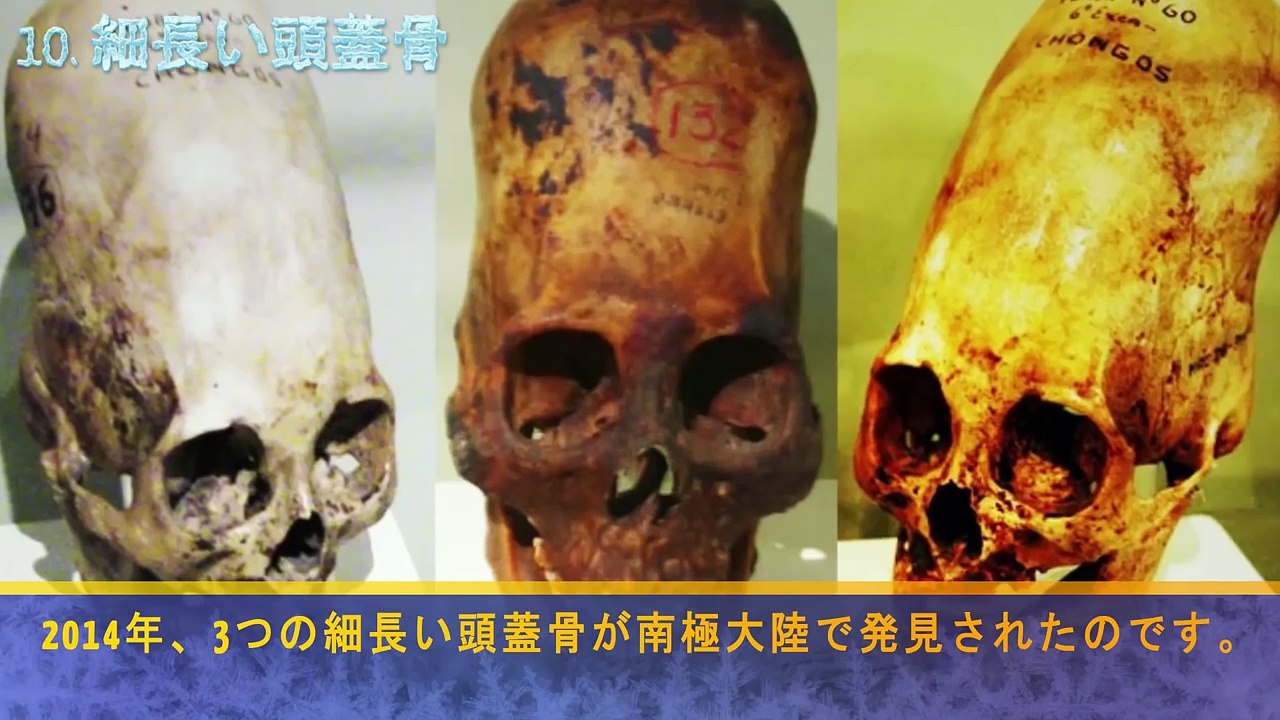 南極大陸で発見された10の奇妙なもの