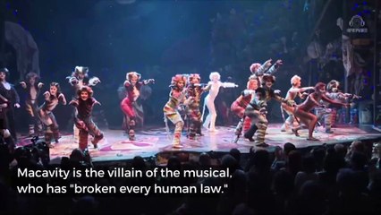 Idris Elba in Talks to Join 'Cats' Movie