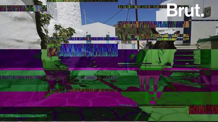 En Grèce, des ânes sont maltraités pour les touristes