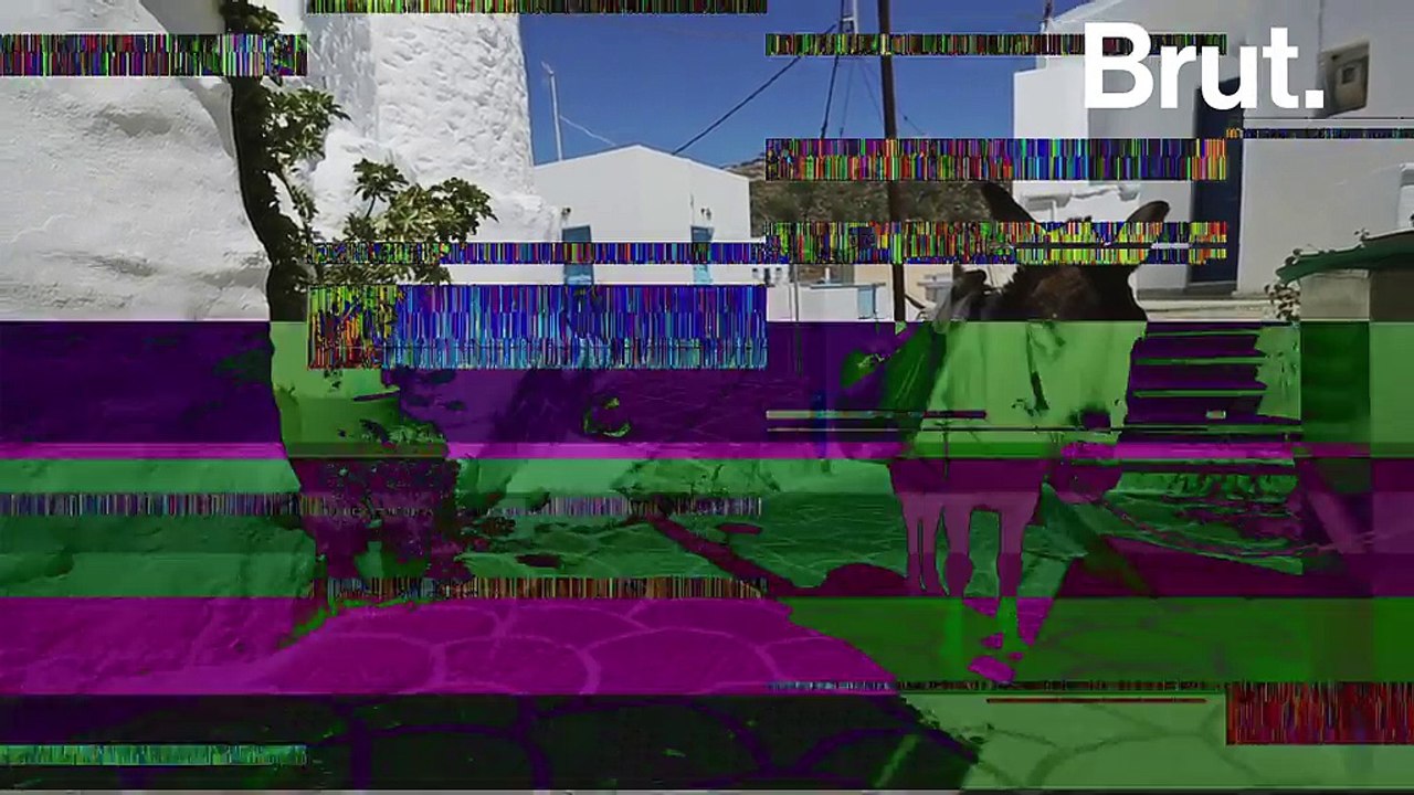 En Grèce, des ânes sont maltraités pour les touristes